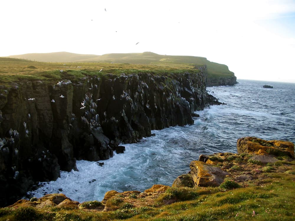 Grímsey — North Iceland
