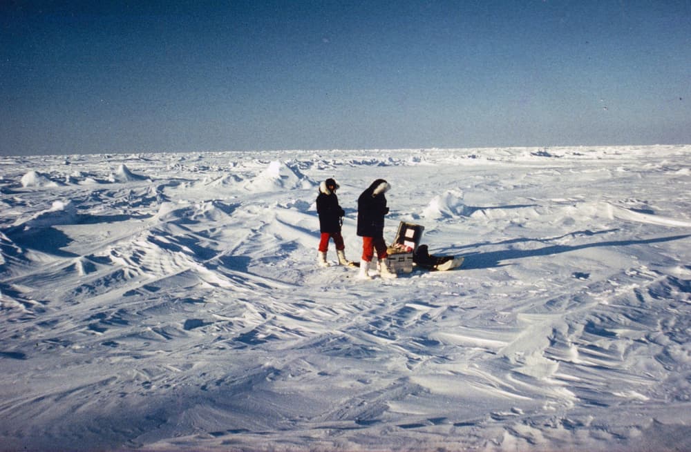 The geographic North Pole — North Pole