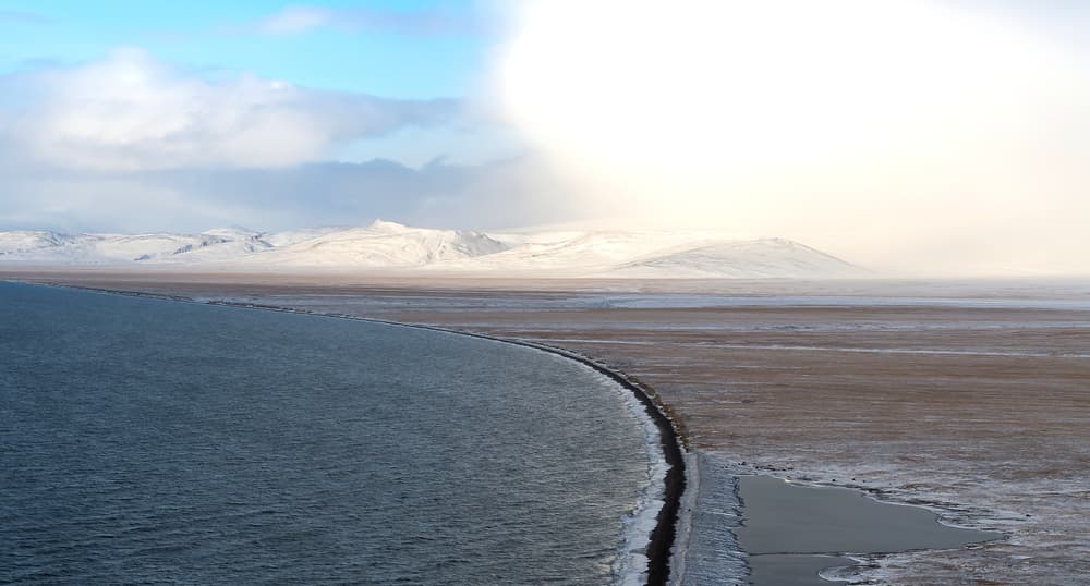 Wrangel Island — Russian Arctic